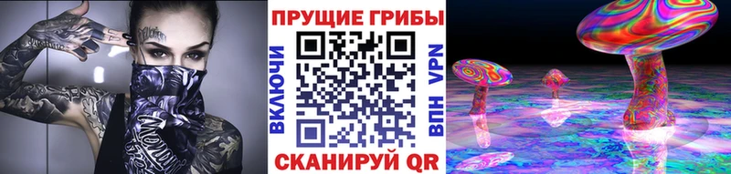 цена   Коммунар  Псилоцибиновые грибы Psilocybe 